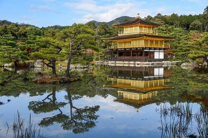 Guided Kyoto City Cherry Blossom One Day Private Tour - The Practicalities: Comfort, Cost, and Convenience