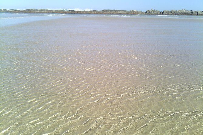 Guided Marine Walk: Sardinia Bay (Marine Protected Area) - 1 & Half Hour - Practical Details and Value