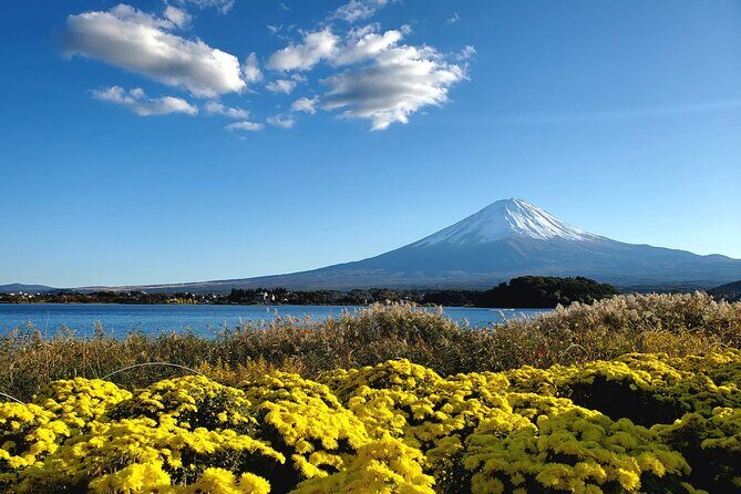 Guided Mount Fuji Private Tour GREEN NUMBER PLATES - Who Will Love This Tour?