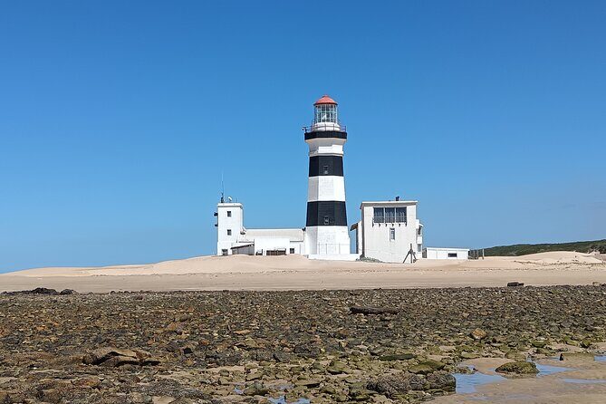 Guided Port Elizabeth Coastal Tour - Included and Not Included: What You’ll Get