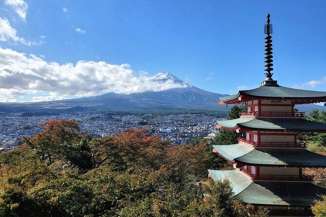 Guided Private Mt. Fuji and Hakone Tour GREEN NUMBER PLATES - Practical Considerations