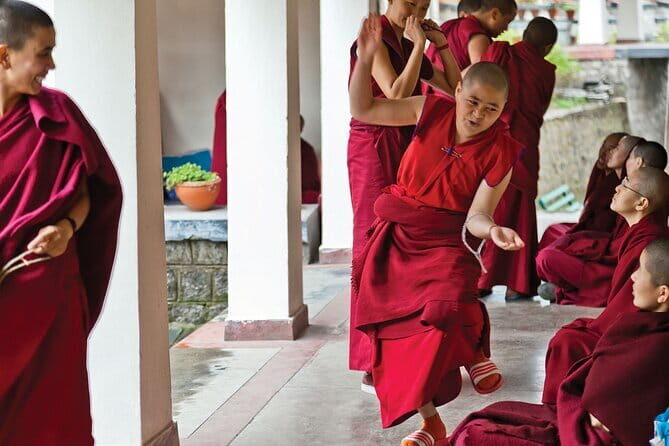 Guided Tibetan Culture Walk at Norbulingka,Gyuto and Nunnery - Final Thoughts