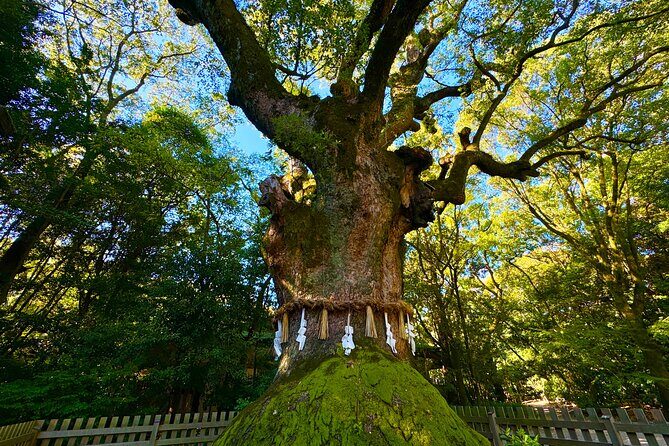 Guided Tour of Historic Atsuta Shrine and Sword Museum - The Itinerary in Detail