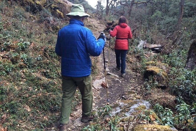Guided Village walk with Stories in Dharamsala - What Makes This Tour Stand Out?