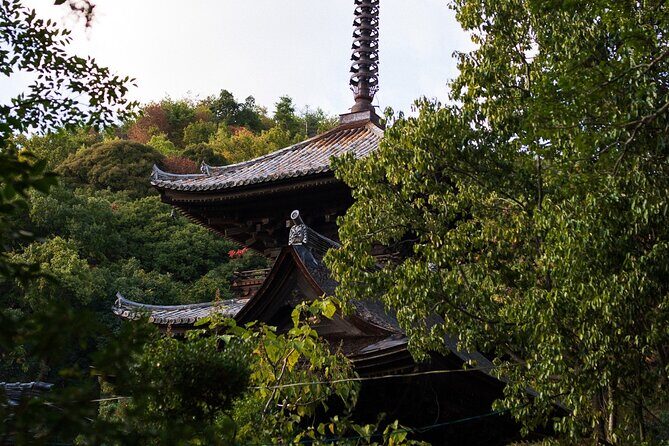 Guided Walking Ohenro Pilgrimage Experience in Dogo Hot Spring - Practical Details and Value