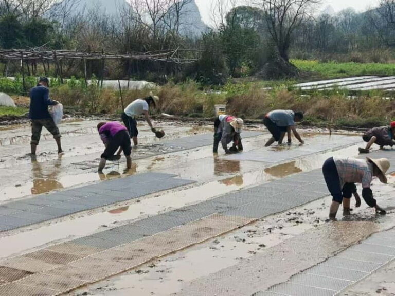 Guilin: Countryside Cycling 1-day Tour with Cooking Class - Practical Details and What to Expect