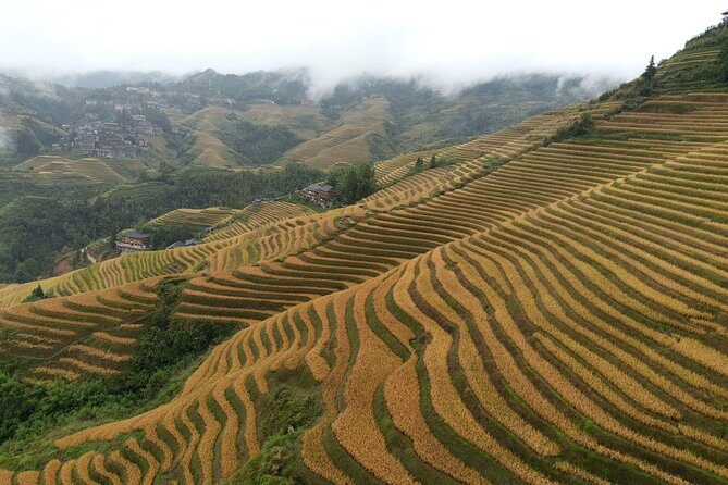 Guilin: Day tour of Longji Rice Terraces and Yangshuo - Transportation and Practicalities