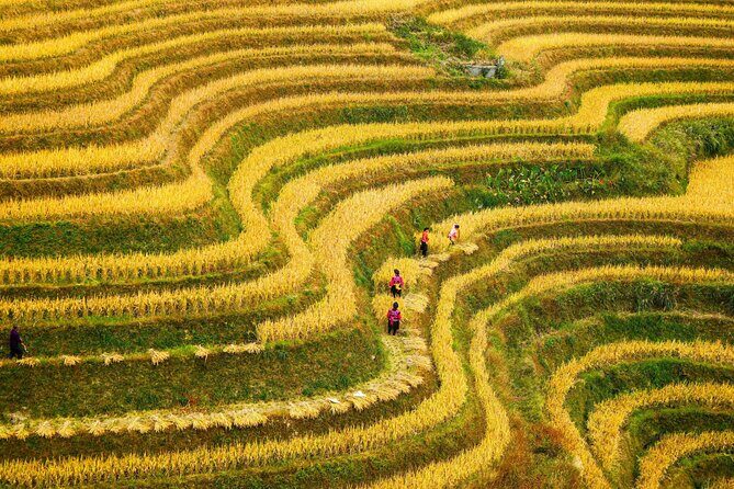 Guilin: Longji Rice Terraces and Villages Private Day Tour - Authenticity and Review Highlights