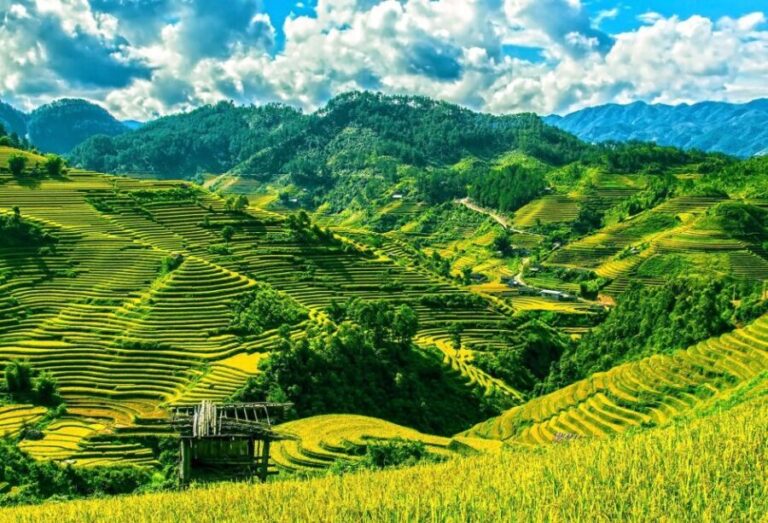 Guilin Longji Terraces Private Day Tour - Value and Practicalities