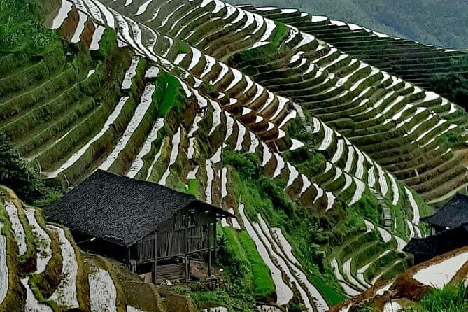 Guilin Reed Flute Cave and Longji Rice Terraces Private Day Tour - Who Should Consider This Tour?