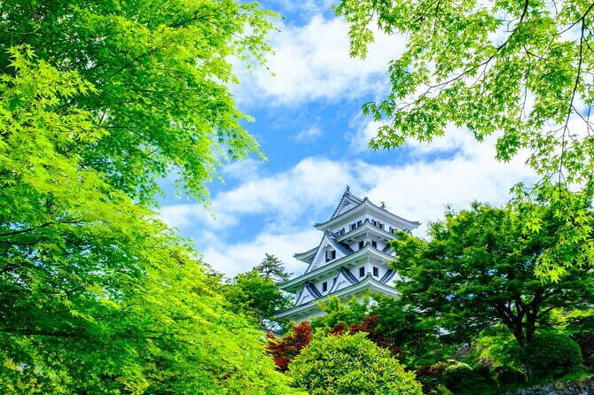 Gujo, Hida Takayama, and Shirakawa-go Day Tour from Nagoya - Who Is This Tour For?