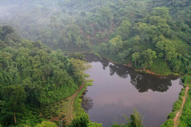 Guwahati Tea Garden Tour with Lunch & Hi Tea (Premium Experience) - A Deep Dive into the Guwahati Tea Garden Experience
