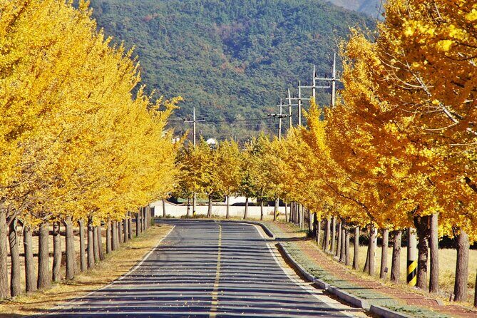 Gyeongju Maple Tour from Busan - What to Expect at Each Stop
