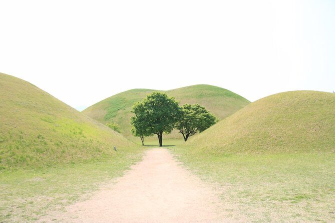 Gyeongju The UNESCO World heritage sites tour(Private tour) - Transport, Timing, and Overall Value