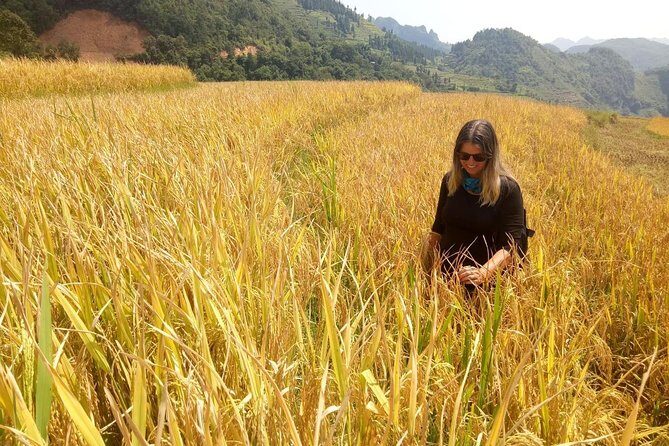 Ha Giang loop 3 or 4 Days, Small Group Tour (within easy riders) - Practical Aspects: Transportation, Group Size, and Comfort