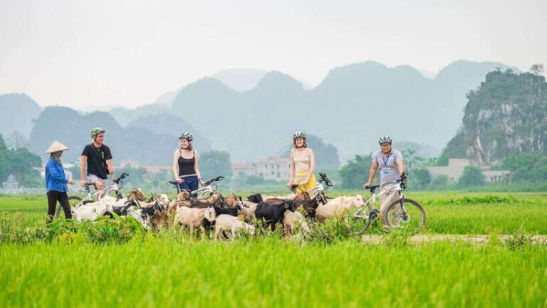 Ha noi: Ninh Binh- Halong on land: Hoa Lu, Tam Coc, Mua Cave - Transportation and Group Size