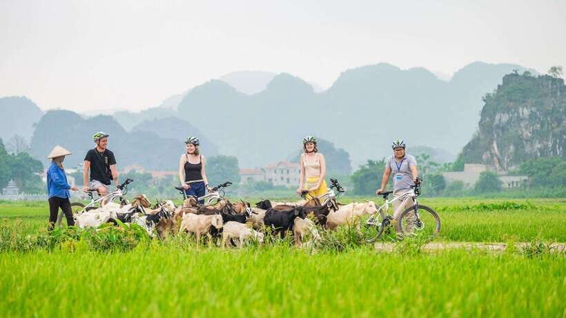 Ha noi: Ninh Binh- Halong on land: Hoa Lu, Tam Coc, Mua Cave - Transportation and Group Size