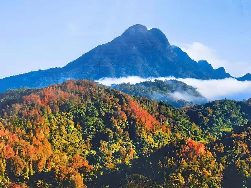 Hainan: A private day trip to Wuzhishan - What Makes This Tour Special?