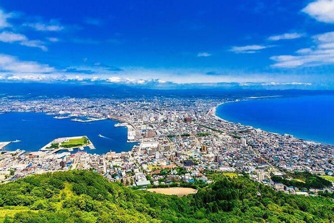 Hakodate 6hr Private Tour with Government-Licensed Guide - Why This Tour Offers Great Value