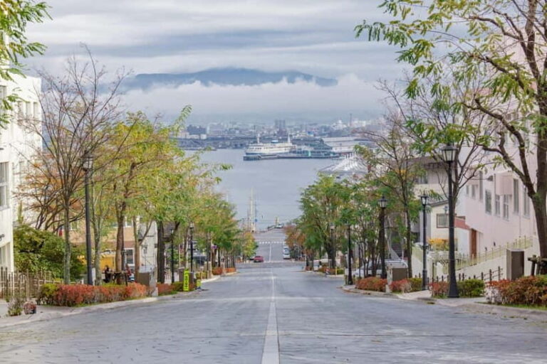 Hakodate Highlights Tour 4 Hours - What the Tour Includes and What to Keep in Mind