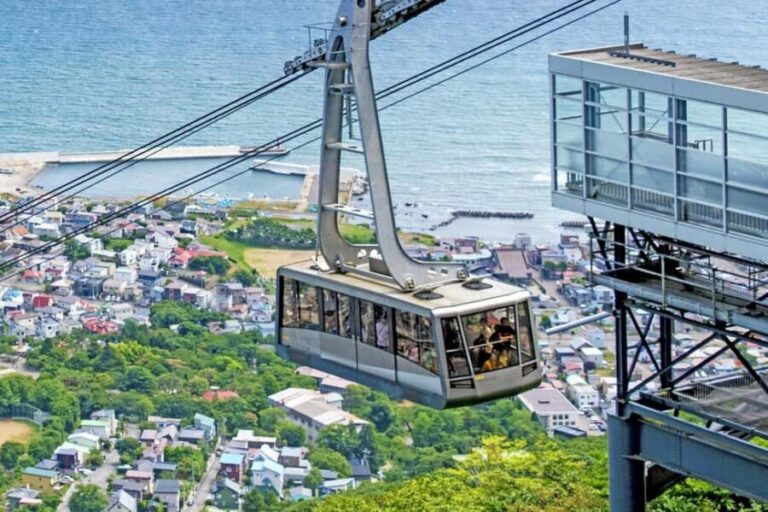 Hakodate: Historic Port Walk & Mt. Hakodate Ropeway Tour - What You Can Expect from the Tour