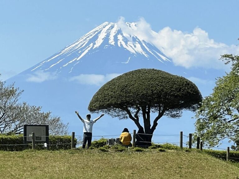 Hakone Hachiri: Old Tokaido Highway Hiking Tour - What Makes This Tour Stand Out