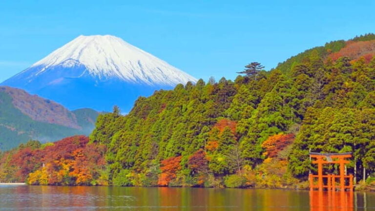 Hakone: Private Tour from Tokyo to Hakone in Spanish - Who Is This Tour Best For?