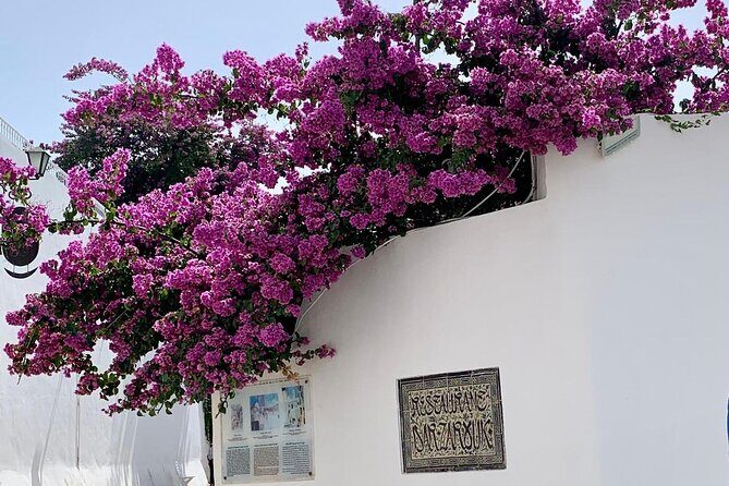 Half a day in Sidi Bousaid from Hammamet - What to Expect from This Tour