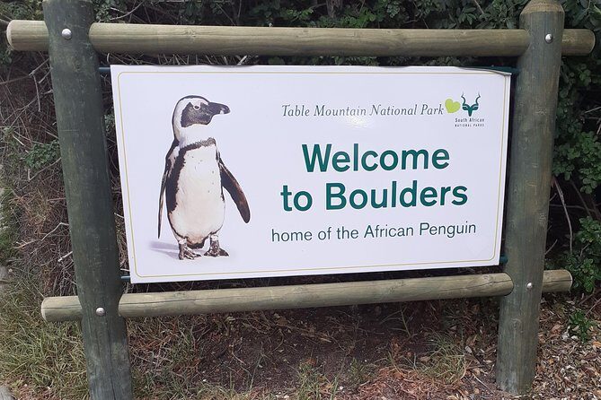 Half day African Penguin Tour - What Does the Tour Mean for You?