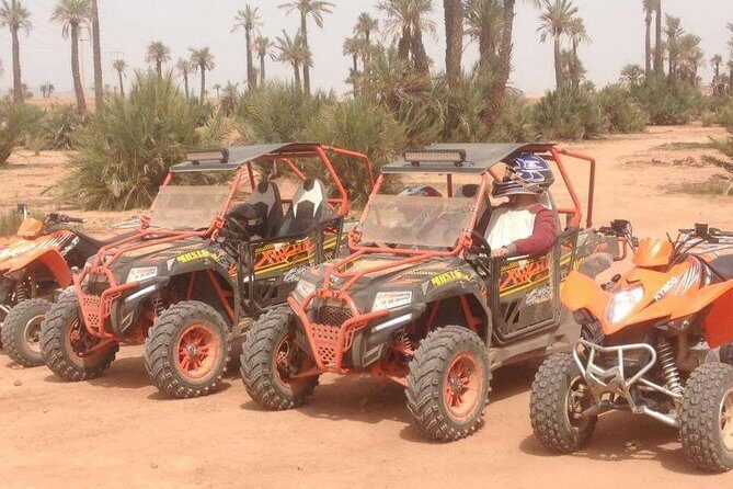 HALF DAY Buggy Palmeraie Marrakech - The Value of the Experience