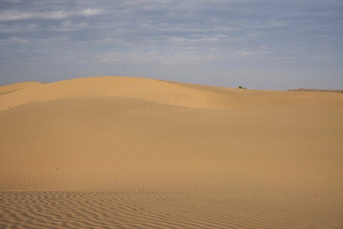 Half Day Camel Safari Sunset with Dinner Tour (Non Touristic) - Analyzing the Itinerary and Logistics