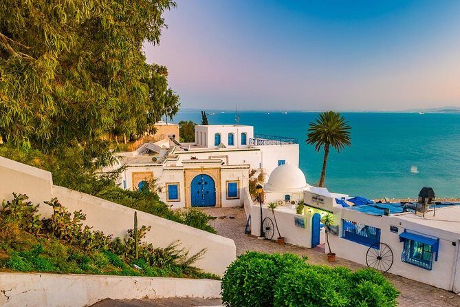 Half-Day Carthage, Sidi Bou Said Private Tour with Licensed Guide - What Makes This Tour Stand Out