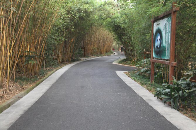 Half-Day Chengdu Panda Research Base Private Tour - Final Thoughts: Who Will Love This Tour?
