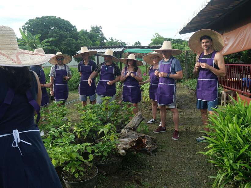 Half Day Cooking Class at Organic Farm & City Garden&Market - Practical Details: What You Need to Know