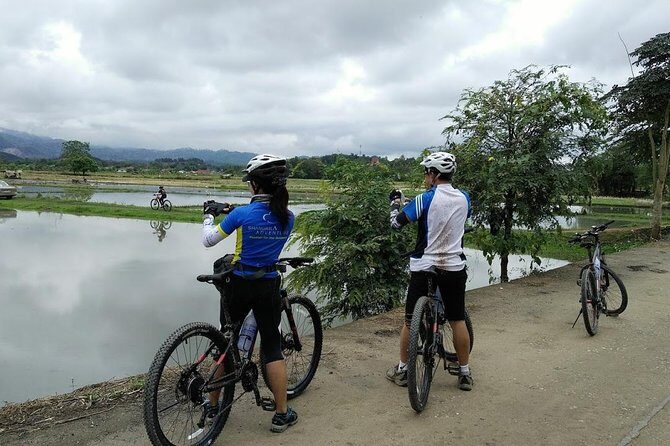 Half Day Cycling Tour to the White temple - A Closer Look at the Tour Itinerary
