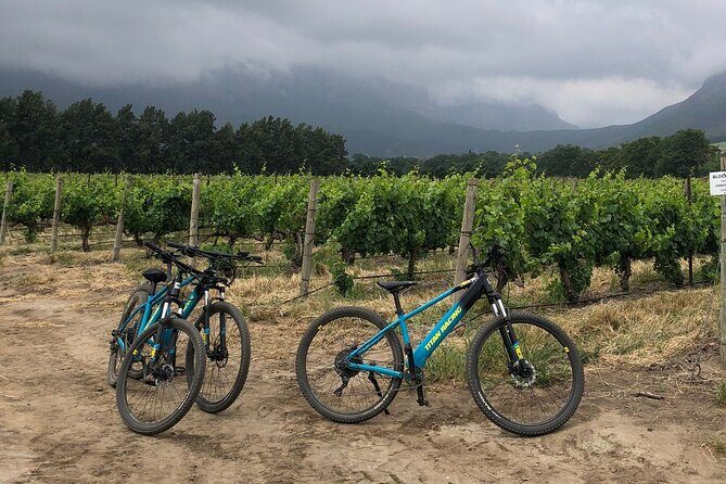 Half Day Cycling Wine Tour - Exploring the Itinerary: What You Can Expect
