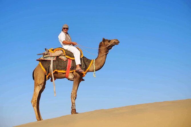 Half Day Desert Safari Jaisalmer - What’s Included and What Not?