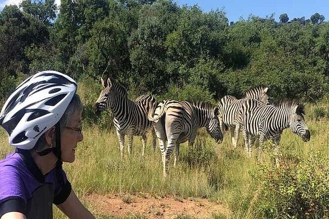 Half Day E-Biking with Wildlife Watching in Pretoria - The Sum Up