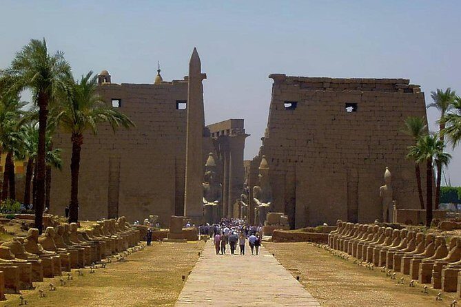 Half Day East Bank Tour to Luxor and Karnak Temples - What’s Included and What to Expect