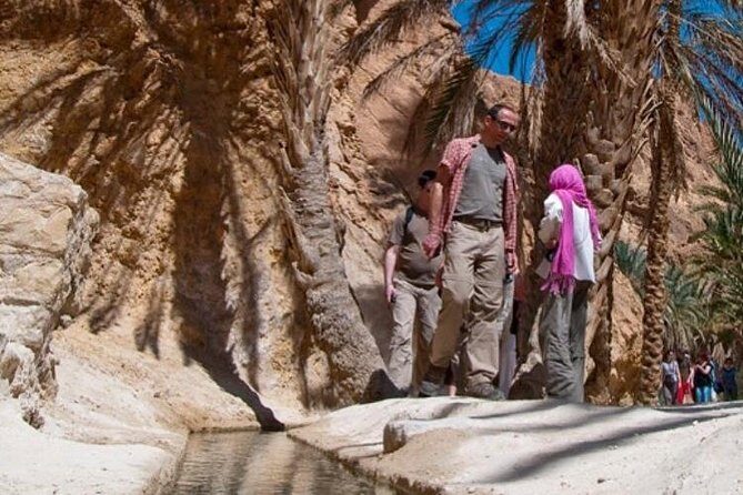 Half-day excursion the mountain oases from Tozeur - An Authentic Look at the Oases Experience