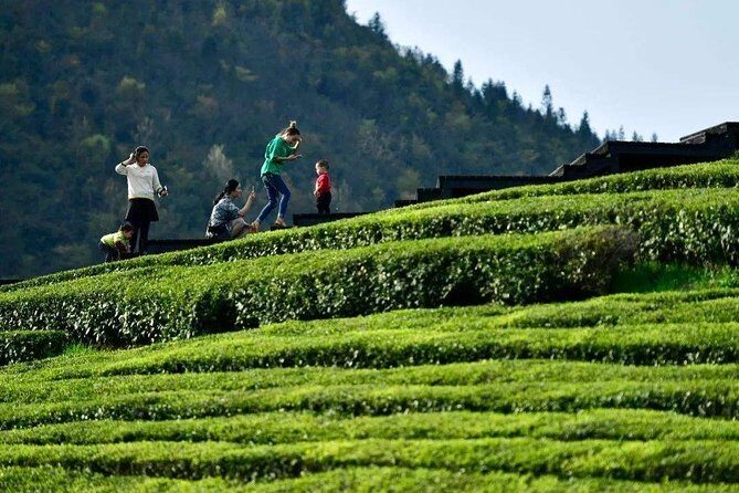 Half-Day Flexible Private Hangzhou Highlight Tour - The Experience for Different Travelers
