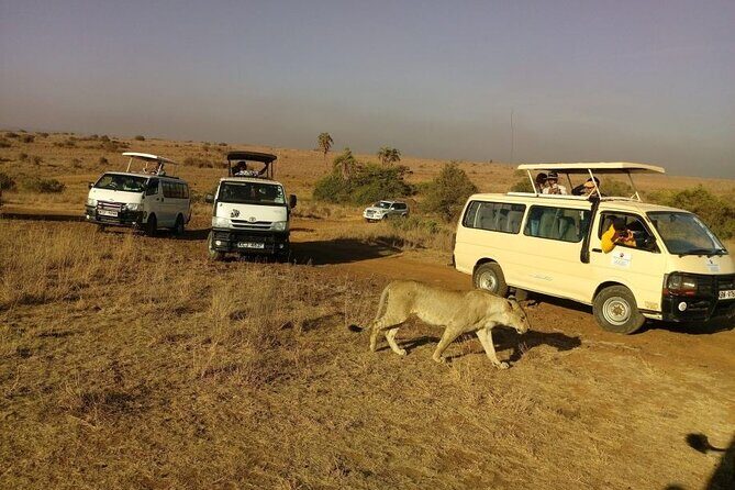 Half Day Guided Tour in Nairobi National Park With 4*4 Vehicle - The Drawbacks and Considerations