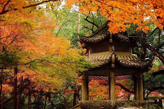 Half-Day Hangzhou Tianzhu Buddhist Mountain Hiking Tour with Green Tea Village - What to Consider