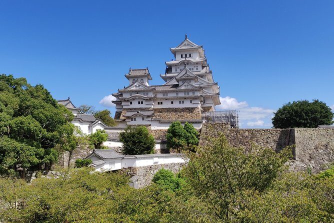 Half-day Himeji Castle Town Bike Tour with Lunch - Who Is This Tour Best For?