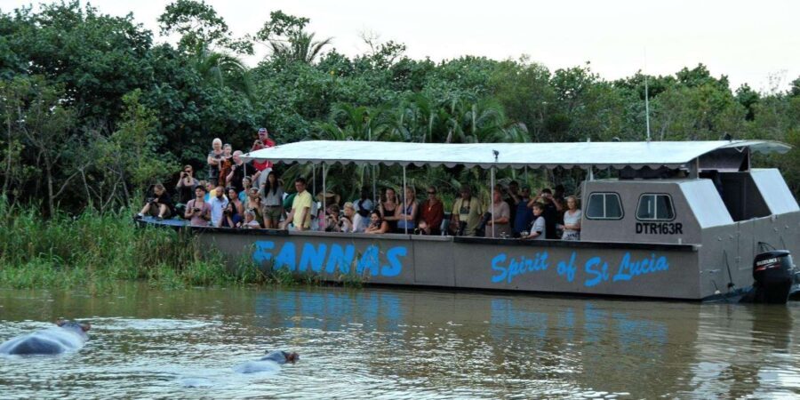 Half Day Hippo Boat Safari Isimangaliso Wetlands from Durban - What Makes the Boat Cruise Special?