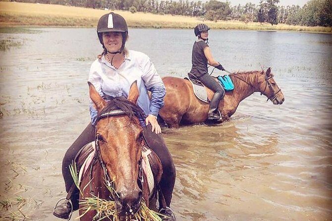 Half Day Horseback Wine Tour - The Ride Back and Additional Details
