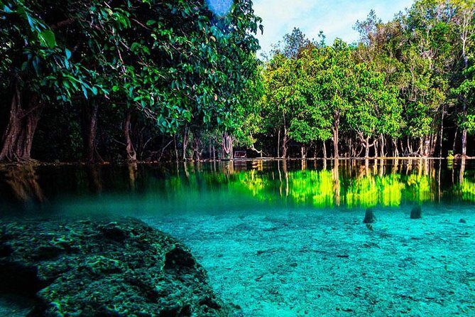 Half Day Jungle Tour to Emerald pool and Krabi Hot Spring - Transportation and Group Dynamics