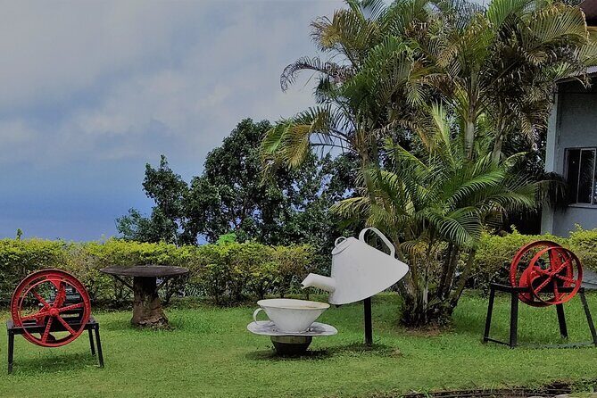 Half-Day Mahe private Tour - Tips to Maximize Your Experience