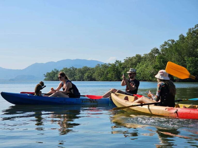 Half Day Mangrove Forest (Morning or Afternoon) - Who Should Book This Tour?