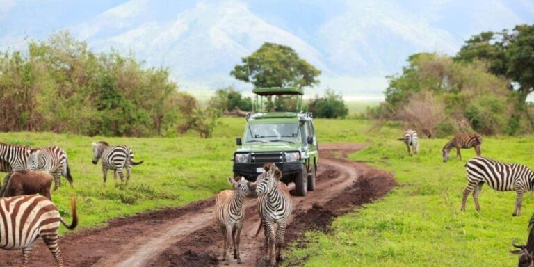 Half Day Natal Lion P & Tala Game Reserve from Durban Safari - Transportation and Duration